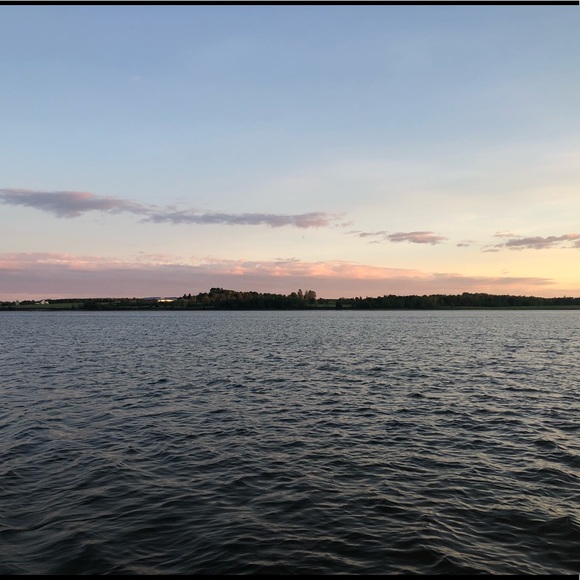 Meet your Posher, Abby - Picture 1 of 1